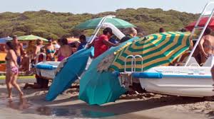 Trend Google: torre dell'orso