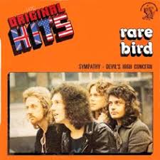 Image result for rare bird sympathy