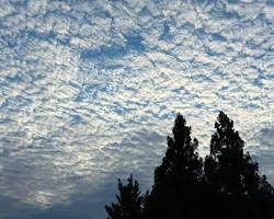altocumulus mackerel sky ocean marine forecast, AI generated