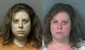 The Citrus County Sheriff&#39;s Office has arrested Cynthia Herr, 35, after they received a tip on September 12, 2013, concerning inappropriate contact between ... - teacher1