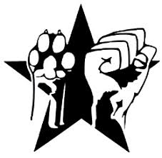 https://encrypted-tbn3.gstatic.com/images?q=tbn:ANd9GcRyG45S3QYMithKMZZeGR6kVursqeh6NF64eDxOlXo9tch3VCnI0g