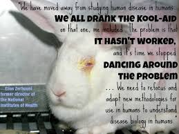 Supreme eleven cool quotes about animal experimentation photograph ... via Relatably.com