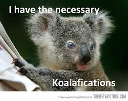 Koala Quotes. QuotesGram via Relatably.com