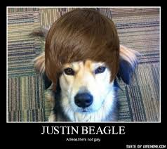 Funny Beagle Meme - ImageFiltr via Relatably.com