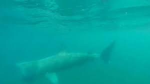 News source: GB News