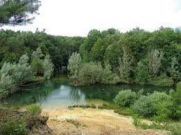 Hasil gambar untuk gambar hutan indah