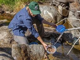 Southwest Conservation Program