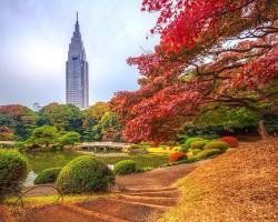 新宿御苑（東京都）の画像