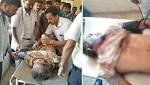 Wild elephant tramples Nagarahole Conservator