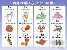 Yahoo!ニュース - News update