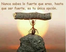 Resultado de imagen para imagenes de superacion