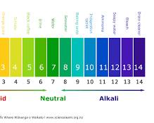 Hình ảnh về pH scale