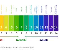 Hình ảnh về pH scale