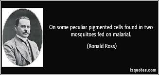 Mosquito Bite Funny Quotes. QuotesGram via Relatably.com