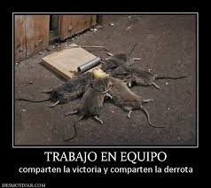 Resultado de imagen de IMAGENES DE TRABAJO EN EQUIPO