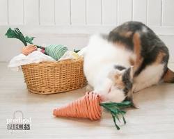 cat playing with a DIY toyの画像