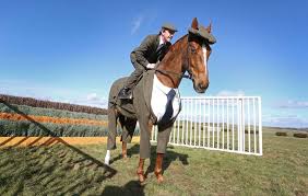 Image result for HORSE