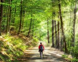 Doğa yürüyüşü  Nature walk resmi