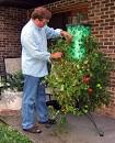 Topsy turvy tomato planter how much 