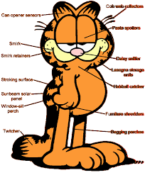 images?qtbnANd9GcRz safjOxDIaHcJDOg3T9SVixJ4Mm9QGmIfOJZsKJytIHr3hp 