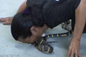 Image result for black cobra with sweet girl