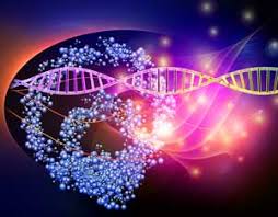 Image result for nanotechnology