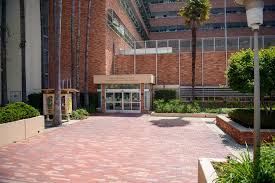 Daily Bruin - News update