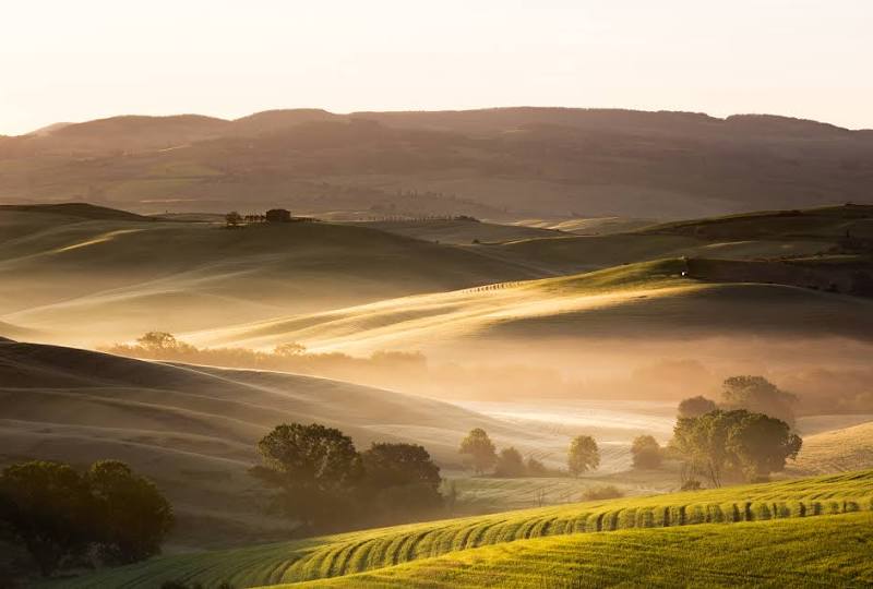 Siena