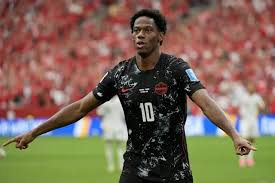 Trend Google: cyle larin