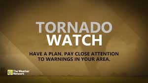 The Weather Network - News update