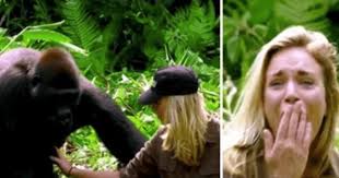 YouTube viral: arriesgada mujer ingresa a jungla donde se ...