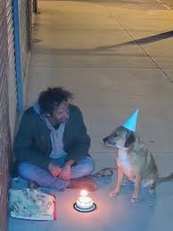 Happy Birthday to you #cute #pets #dog #happybirthday | TikTok