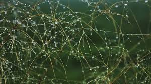 News source: Ouest-France