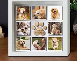 photo frame with a pet photoの画像