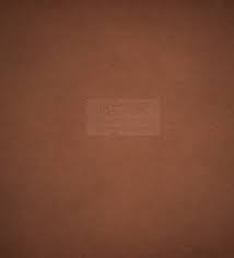 Image result for 褐色