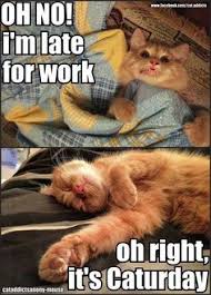 Funny Quotes that make me LOL on Pinterest | Retail, Cat and Ha Ha via Relatably.com