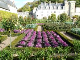 Image result for loire valley garden