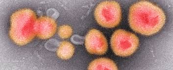 “Discovery of 30,000 Viruses Hidden in Microbial DNA by Scientists”