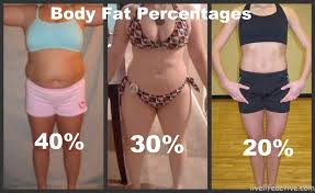 Image result for bmi muscle