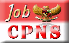 Hasil gambar untuk cpns