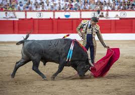El Diario Montañés - News update