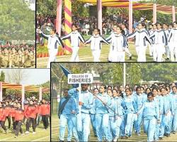 Image of Guru Angad Dev Veterinary and Animal Sciences University sports complex