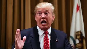 Image result for Donald Trump