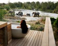 Londolozi Private Game Reserve safari activities