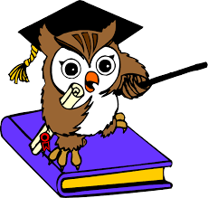 Výsledek obrázku pro animated owl wallpaper