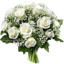 Картинки по запросу красивые анимационные картинки