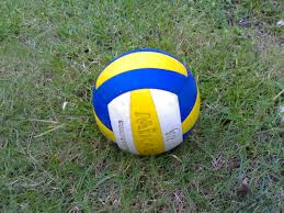 Hasil gambar untuk volly