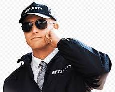 Image of Gafas de guardia de seguridad