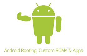 نتيجة بحث الصور عن ‪ROM  - ROOT‬‏