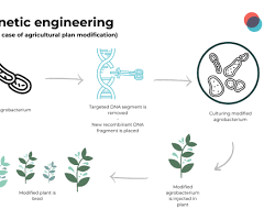 Genetic Engineering